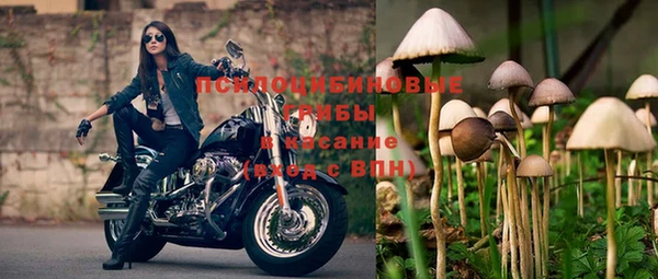 прущая мука Балахна